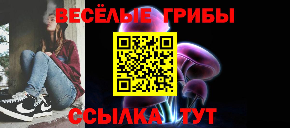 Галлюциногенные грибы Magic Shrooms  цены   Холмск  Вход с VPN  Галлюциногенные грибы Magic Shrooms 